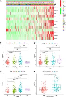 The Pyroptosis-Related Long Noncoding RNA Signature Predicts Prognosis and Indicates Immunotherapeutic Efficiency in Hepatocellular Carcinoma